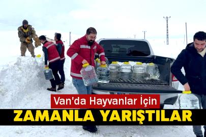 Van'da Hayvanlar İçin Zamanla Yarıştılar