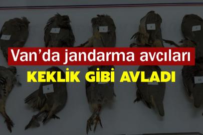 Van’da jandarma avcıları keklik gibi avladı