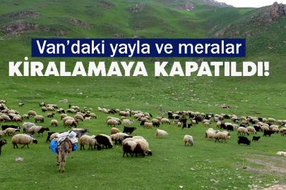 Van’daki yayla ve meralar kiralamaya kapatıldı!