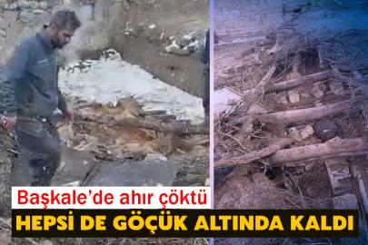 Başkale’de ahır çöktü: Hepsi de göçük altında kaldı