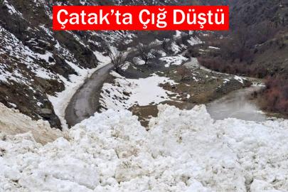 Çatak’ta çığ düştü: 1 mahalle ve 8 mezraya ulaşımı sağlanamıyor