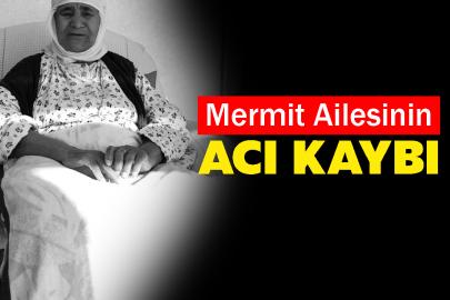 Mermit Ailesinin Acı Kaybı