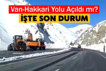 Van-Hakkari yolu yeniden ulaşıma açıldı