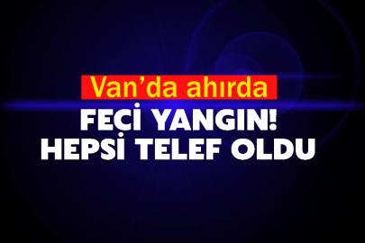 Van’da ahırda feci yangın! Hepsi telef oldu