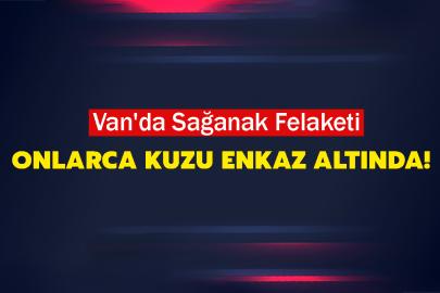 Van'da Sağanak Felaketi: Onlarca Kuzu Enkaz Altında!