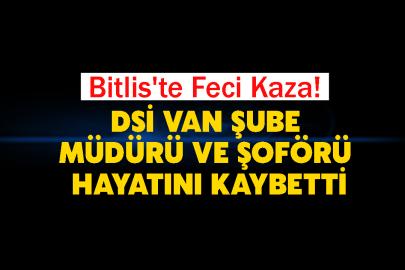 Bitlis'te Feci Kaza! DSİ Van Şube Müdürü ve Şoförü Hayatını Kaybetti