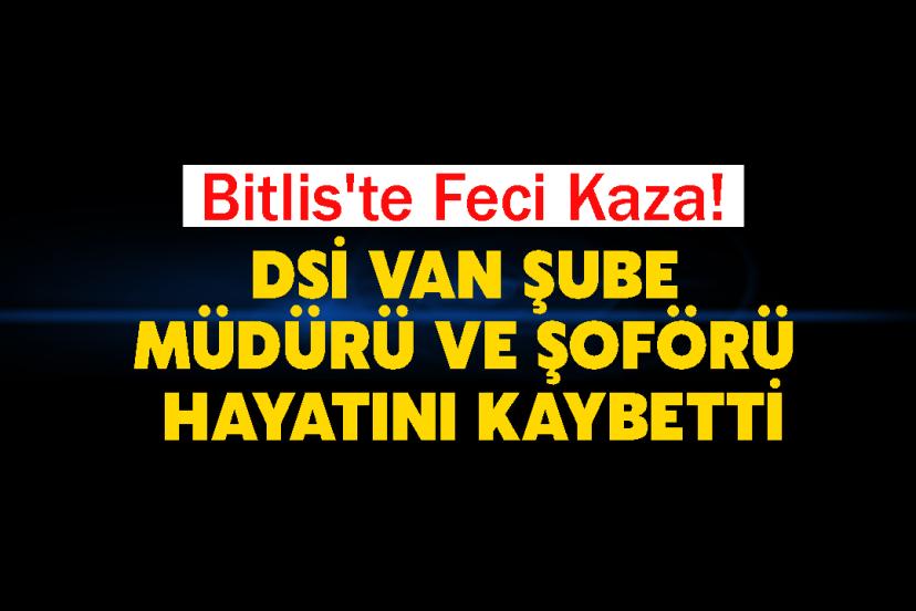 Bitlis'te Feci Kaza! DSİ Van Şube Müdürü ve Şoförü Hayatını Kaybetti