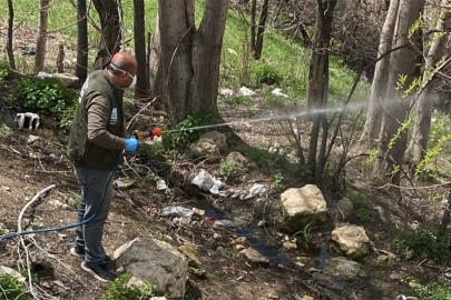 Edremit’te Halk Sağlığı İçin Kapsamlı İlaçlama Seferberliği
