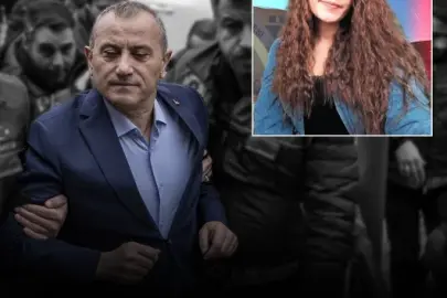 Gülistan Doku soruşturması: Eski Tunceli Valisi Tuncay Sonel tutuklandı