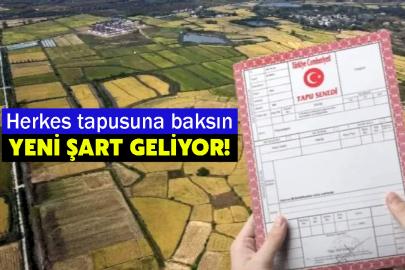 Herkes tapusuna baksın: Yeni şart geliyor!