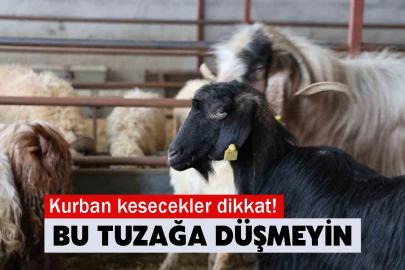 Kurban kesecekler dikkat! Bu tuzağa düşmeyin