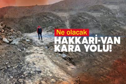 Ne olacak Hakkari-Van kara yolu!