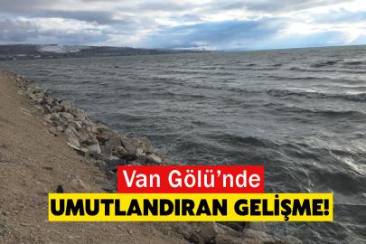 Van Gölü’nde Umutlandıran Gelişme!