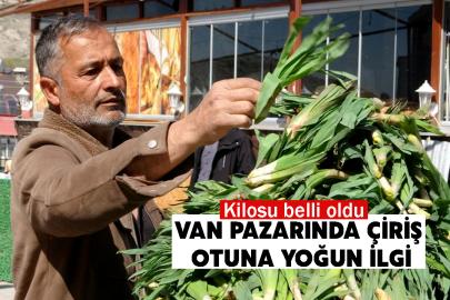 Van Pazarında Çiriş  otuna yoğun ilgi: Kilosu belli oldu
