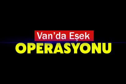 Van’da kayalıklarda mahsur kalan eşek kurtarıldı