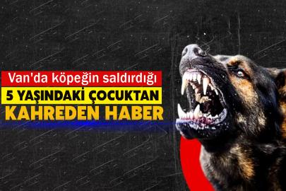 Van'da köpeğin saldırdığı 5 yaşındaki çocuktan kahreden haber