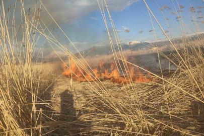 Van’ın Muradiye ilçesinde sazlık yangını