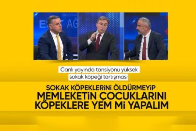 Canlı yayında köpek tartışması