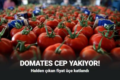 Domates cep yakıyor! Halden çıkan fiyat üçe katlandı