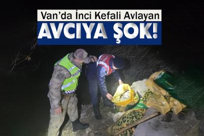 İnci Kefali Avlayan Avcıya Şok!