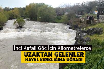 İnci Kefali Göç İçin Kilometrelerce Uzaktan Gelenler Hayal Kırıklığına Uğradı