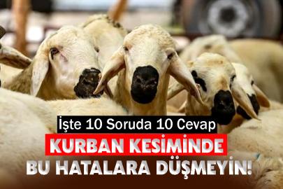 Kurban Kesiminde Bu Hatalara Düşmeyin! İşte  10 soruda 10 cevap