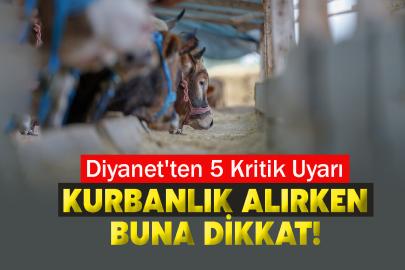 Kurbanlık Alırken Buna Dikkat! Diyanet'ten 5 Kritik Uyarı
