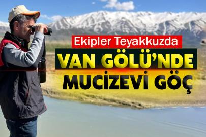 Van Gölü’nde Mucizevi Göç: Ekipler Teyakkuzda