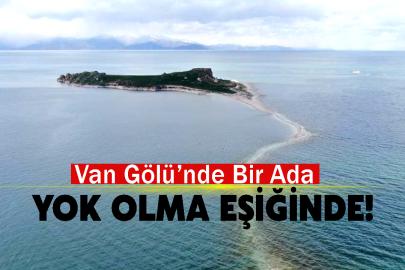 Van Gölü’nün İncisi Çarpanak Adası Yok Olma Eşiğinde!