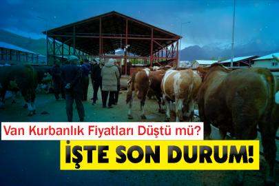 Van Kurbanlık Fiyatlarında Son Durum!