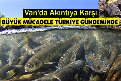 Van'da Akıntıya Karşı Büyük Mücadele Türkiye Gündeminde