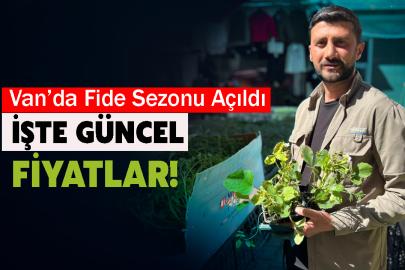 Van’da Fide Sezonu Açıldı: İşte Güncel Fiyatlar!