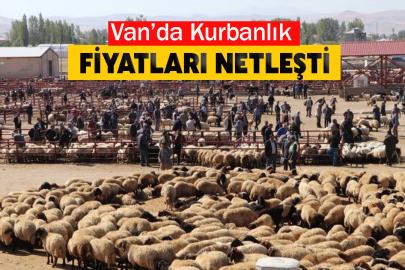 Van’da Kurbanlık Fiyatları Netleşti