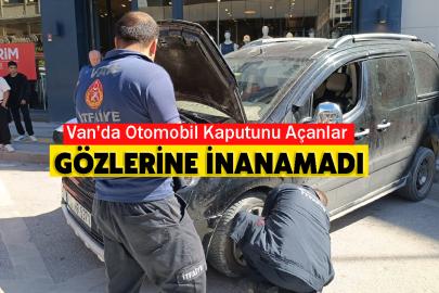 Van'da Otomobil Kaputunu Açanlar Gözlerine İnanamadı