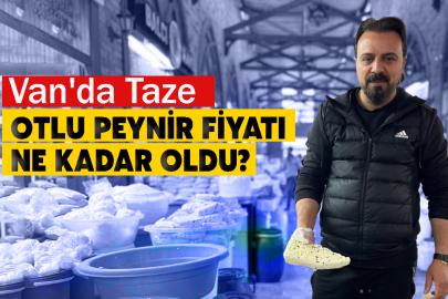 Van'da Taze Otlu Peynir Fiyatı Ne Kadar Oldu?
