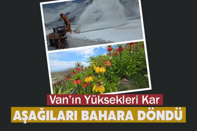 Van’ın Yüksekleri Kar, Aşağıları Bahara döndü