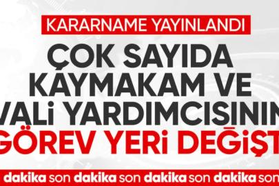 Van'a yeni atanan kaymakam ve vali yardımcıları belli oldu!