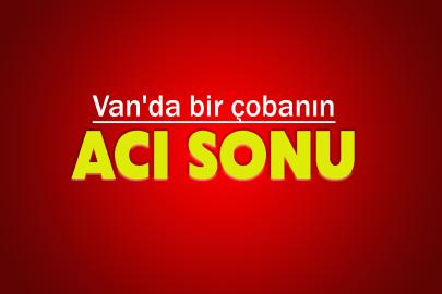 Van'da bir çobanın acı sonu