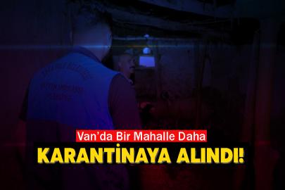 Van’da Bir Kuduz Alarmı Daha