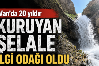 20 yıl sonra yeniden hayat buldu: Çatak’ta kuruyan su kaynağı akmaya başladı