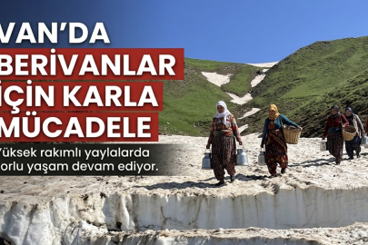 Van'da Berivanlar için karla mücadele