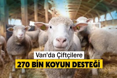 Van'da Çiftçilere 270 Bin Koyun Desteği