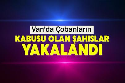 Van'da Çobanların Kabusu Olan Şahıslar Yakalandı