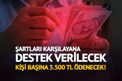 Şartları Karşılayana Destek Verilecek! Kişi başına 3.500 TL