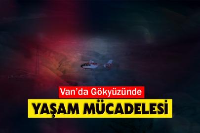 Van’da Gökyüzünde Yaşam Mücadelesi