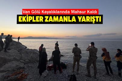 Van Gölü Kayalıklarında Mahsur Kaldı: Ekipler Zamanla Yarıştı