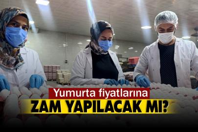 Yumurta fiyatlarına zam yapılacak mı?