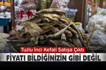 Tuzlu İnci Kefali Satışa Çıktı: Fiyatı Bildiğinizin Gibi Değil