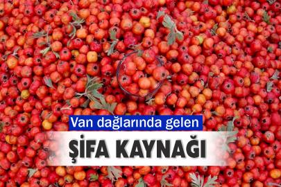 Van dağlarında gelen doğal şifa kaynağı