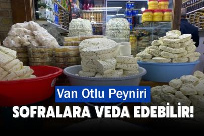 Van Otlu Peyniri Sofralara Veda Edebilir!